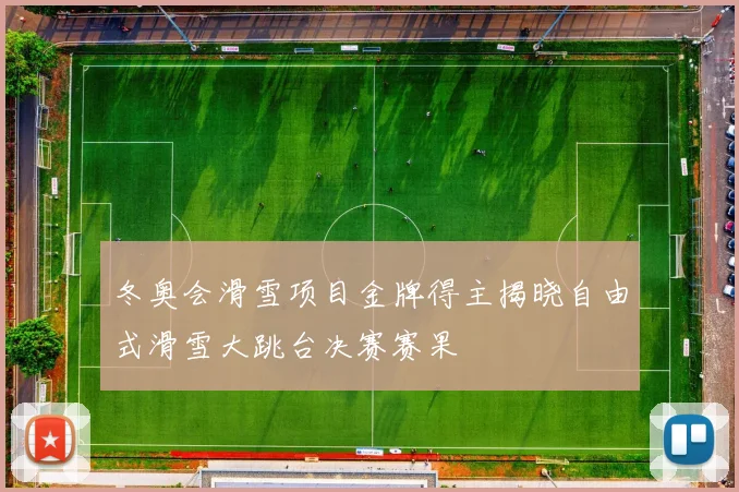 冬奥会滑雪项目金牌得主揭晓自由式滑雪大跳台决赛赛果