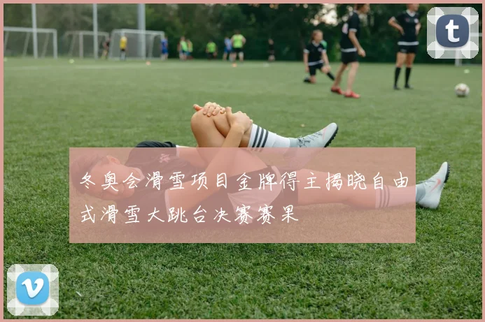 冬奥会滑雪项目金牌得主揭晓自由式滑雪大跳台决赛赛果