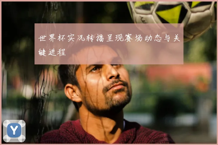 世界杯实况转播呈现赛场动态与关键进程
